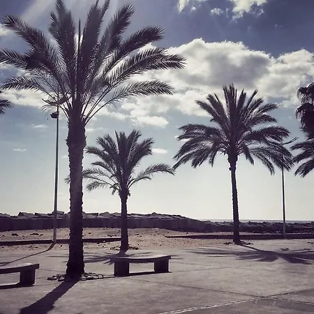 Scirocco Madeira - Ocean View 公寓 *