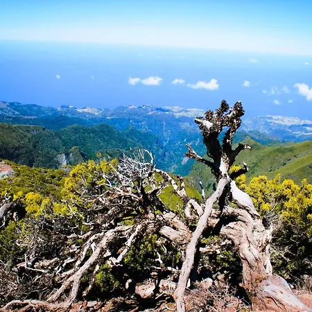 Scirocco Madeira - Ocean View Апартаменты Машику