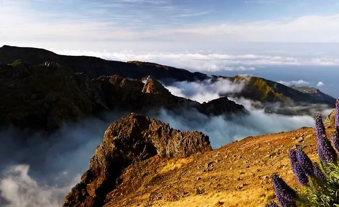 Scirocco Madeira - Ocean View