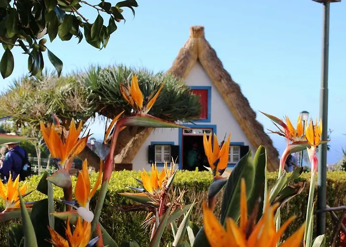 Scirocco Madeira - Ocean View Appartamento *