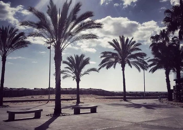 Scirocco Madeira - Ocean View 公寓 *