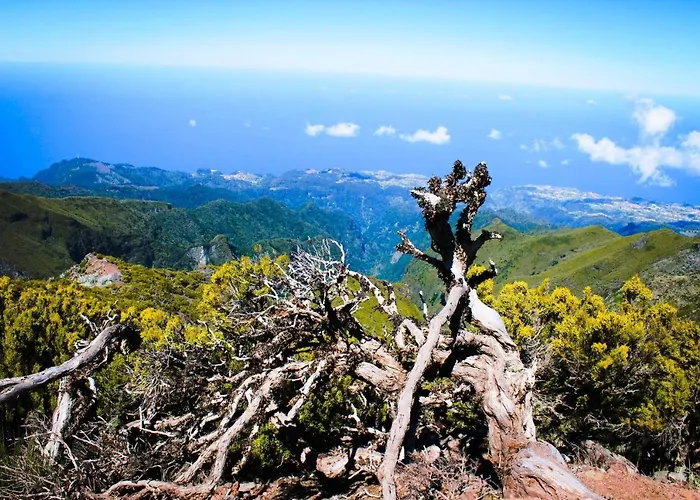 Scirocco Madeira - Ocean View Appartamento Machico (Madeira)